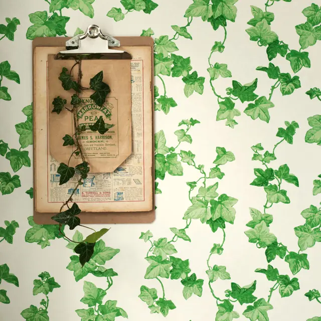 Sanderson Hedera Wallpaper