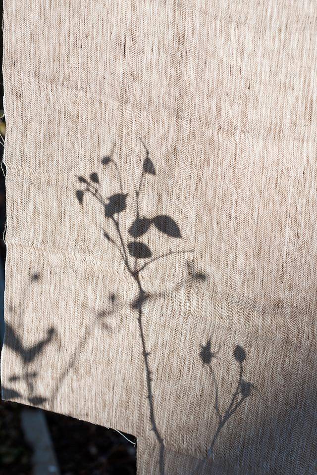 Dedar Wide Linen Signor Darcy