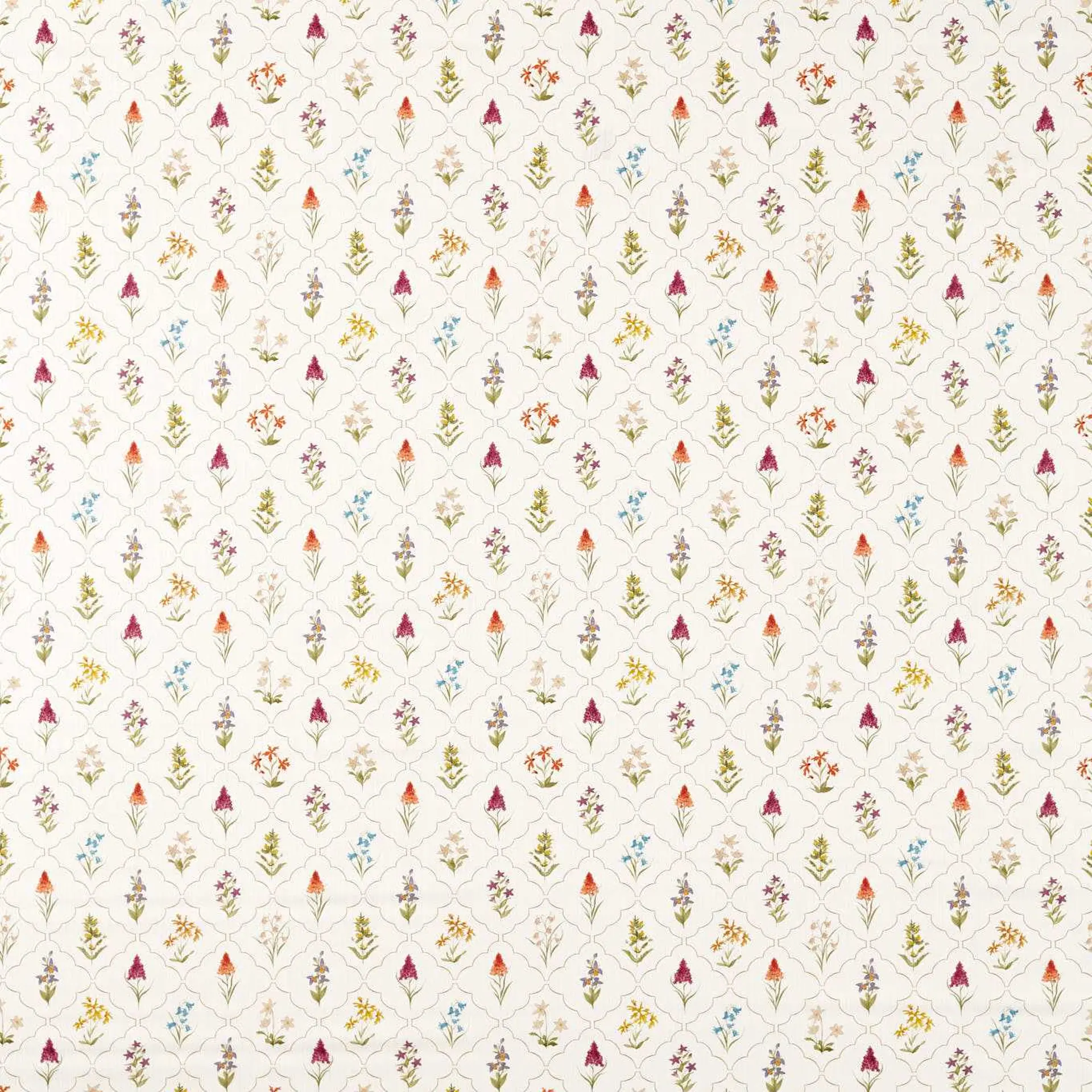 Sanderson Spring Meadow