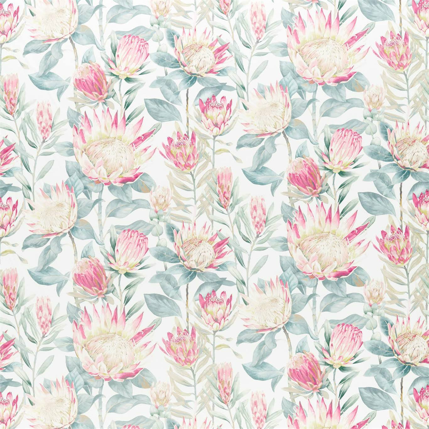 Sanderson King Protea  