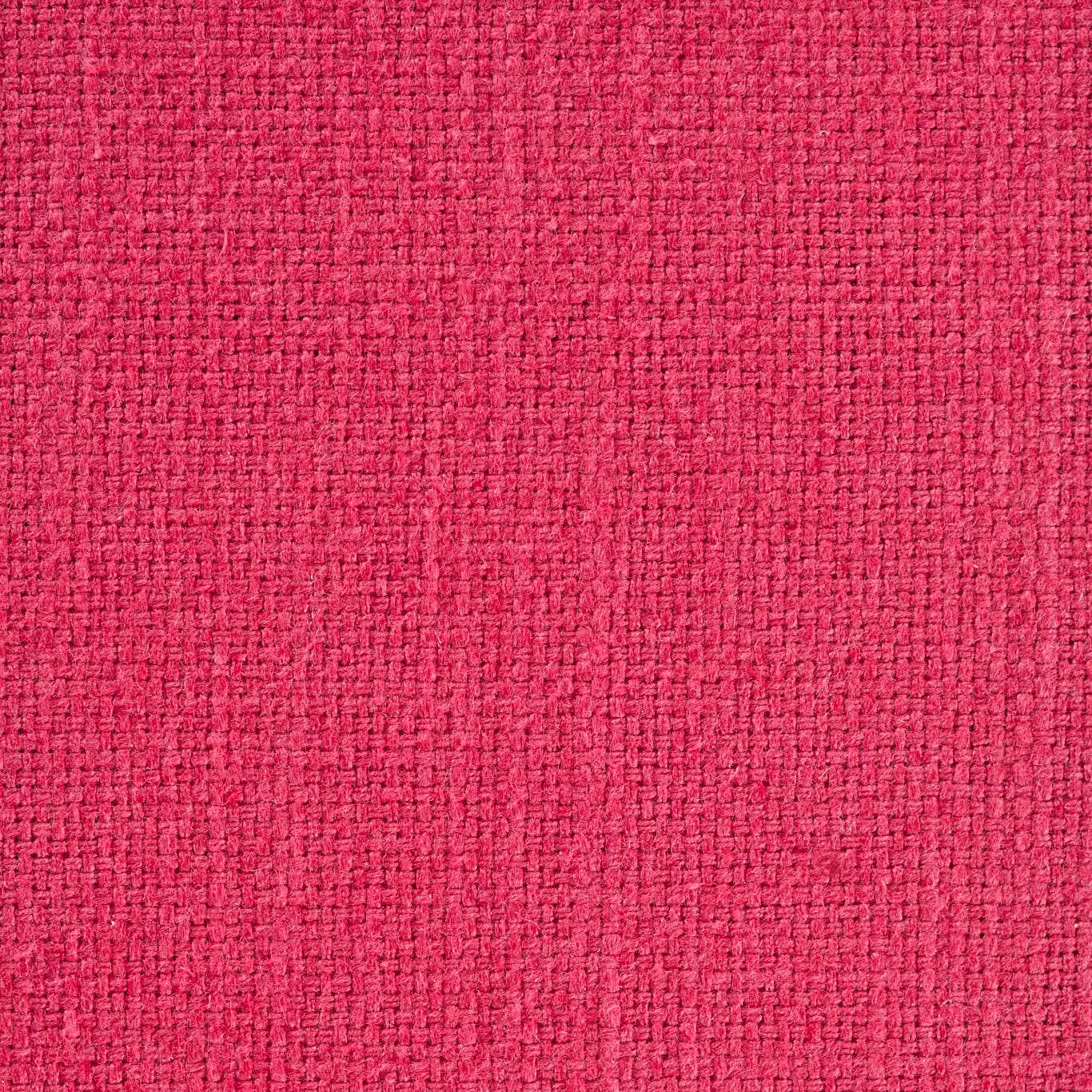 Fuschia