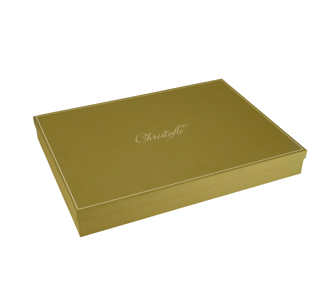 Christofle Graphik Tablett 45x32cm versilbert