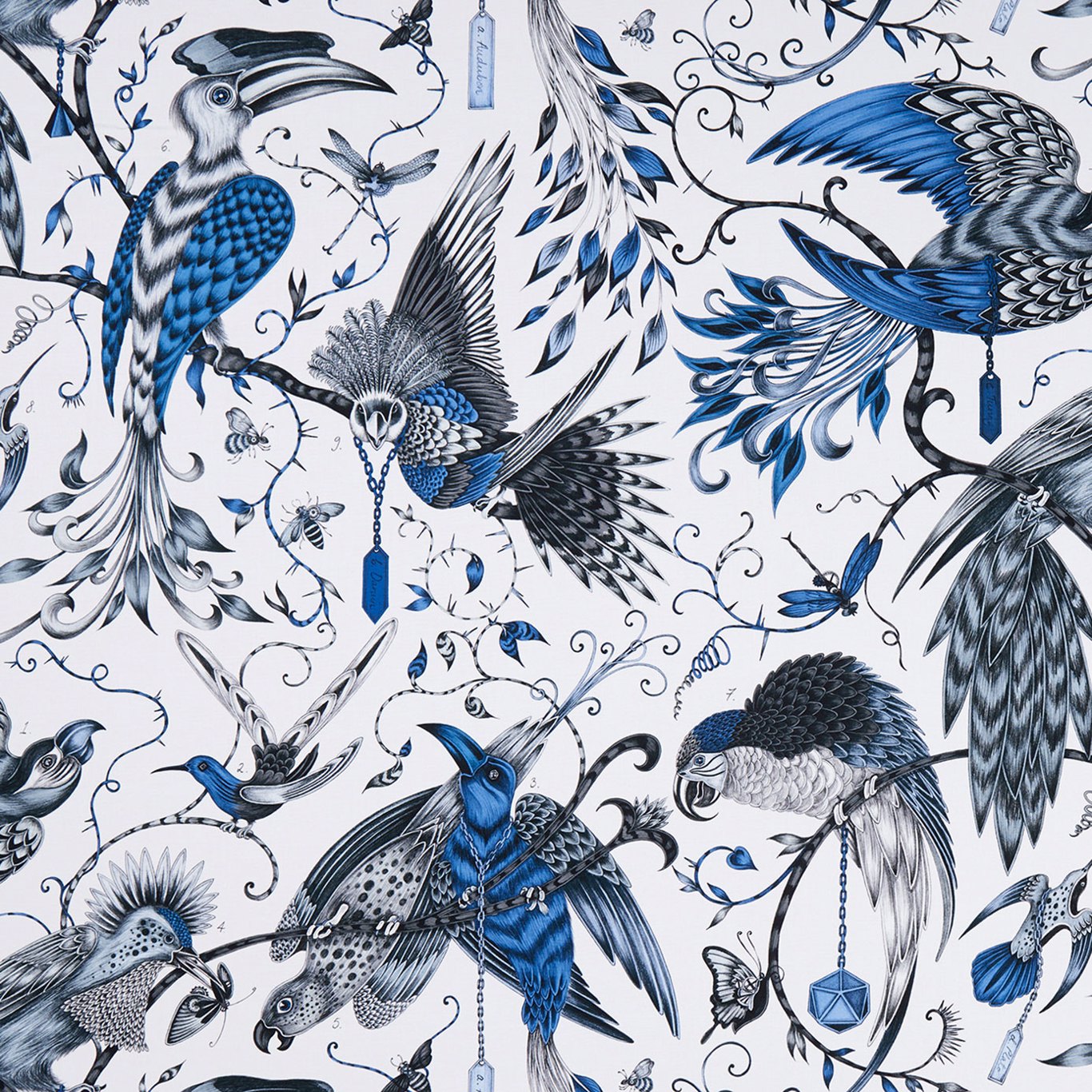 Clarke & Clarke Audubon  