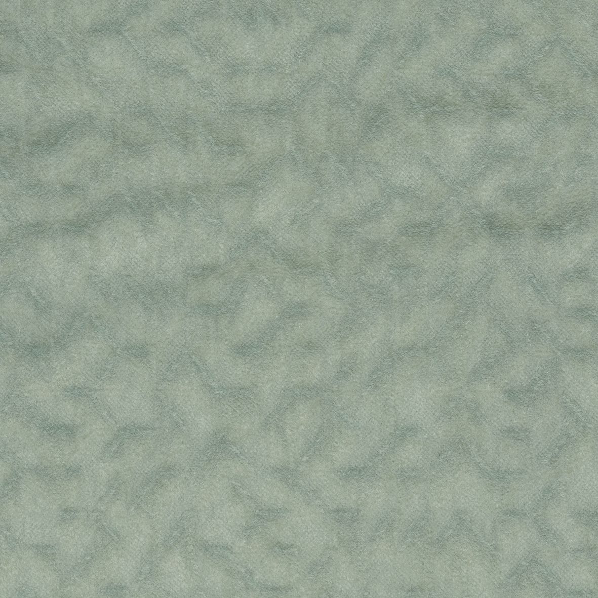 Eucalyptus