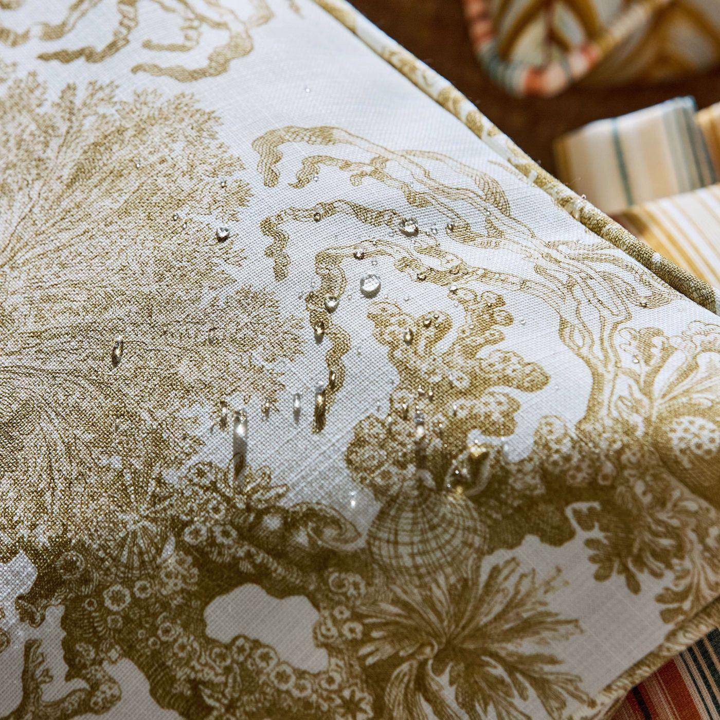 Sanderson Monterey Bay 