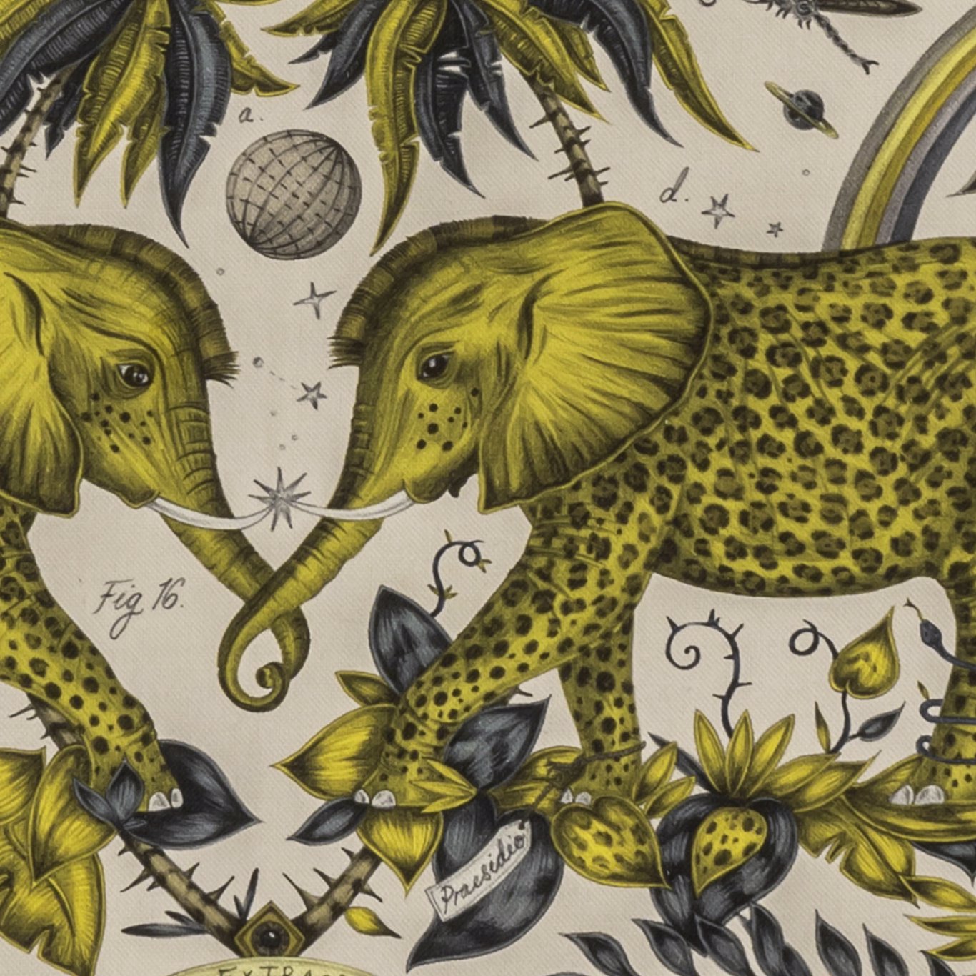 Clarke & Clarke Zambezi Linen