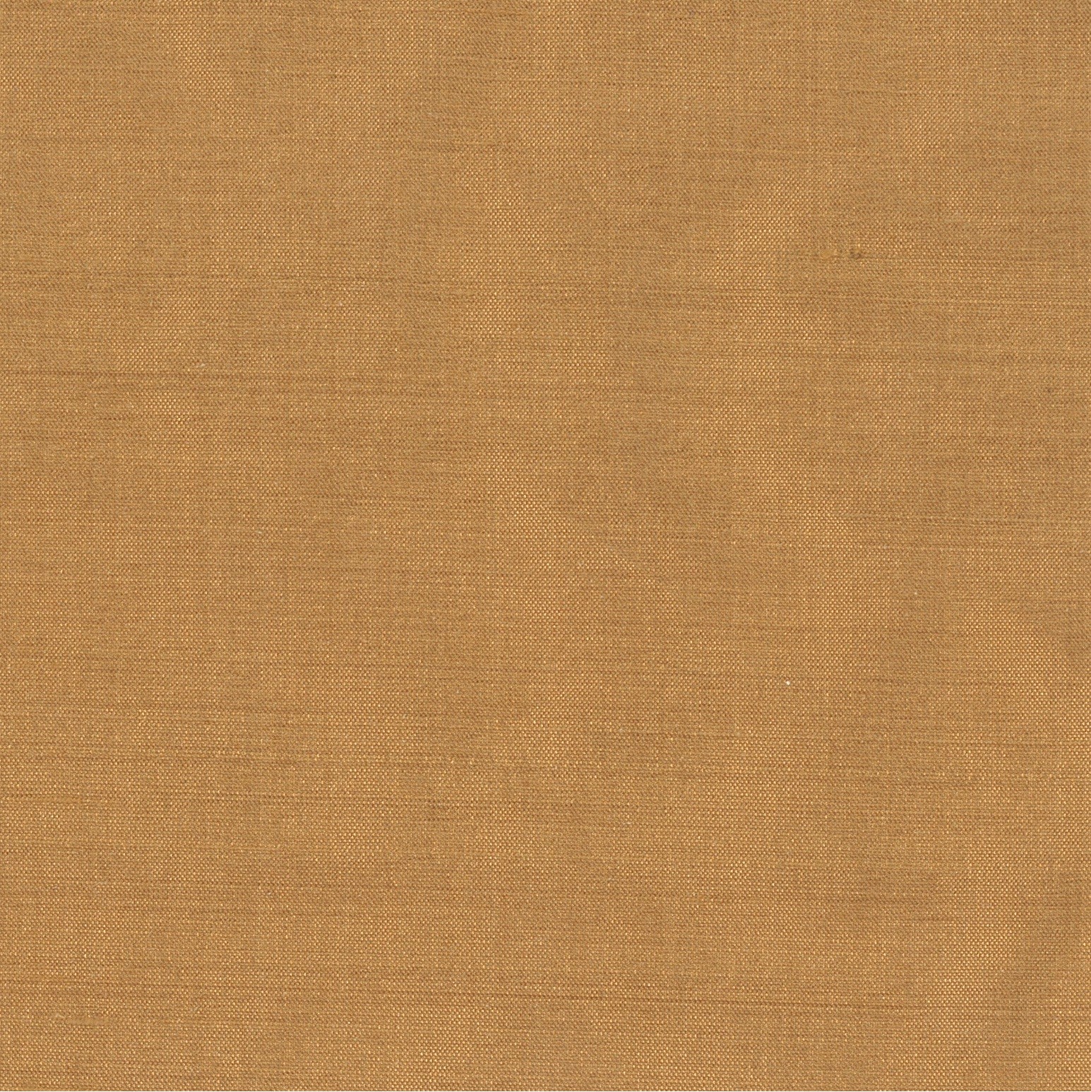 Cinnamon