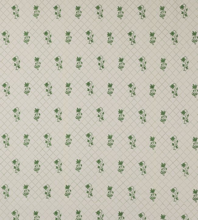 Colefax and Fowler Berkeley Sprig