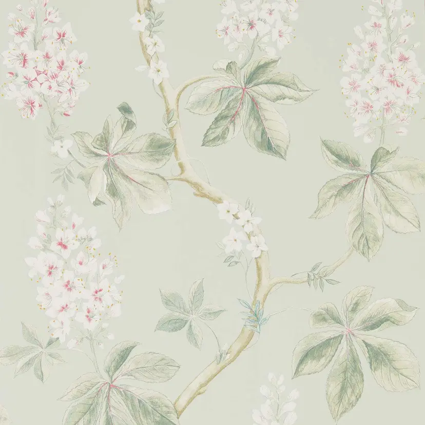  Seaspray/Peony