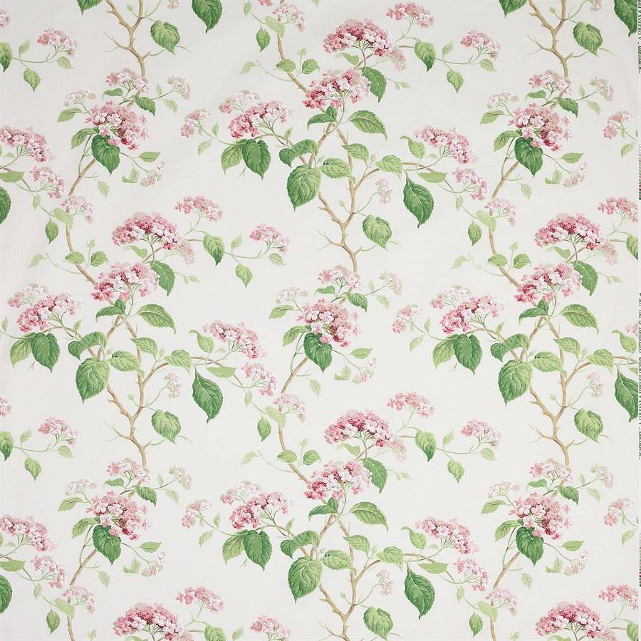 Colefax & Fowler Summerby Cotton
