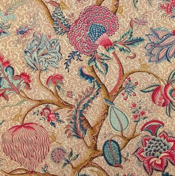 Braquenie Le grand corail