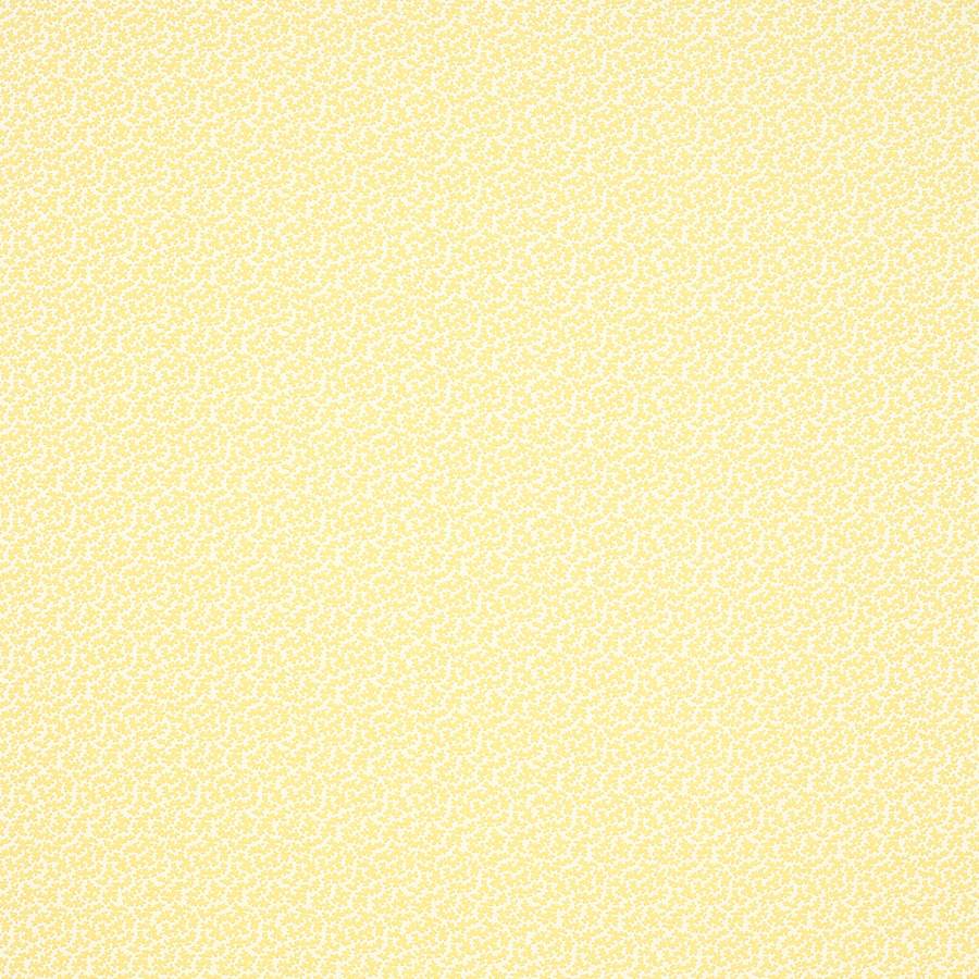 Colefax & Fowler Seaweed