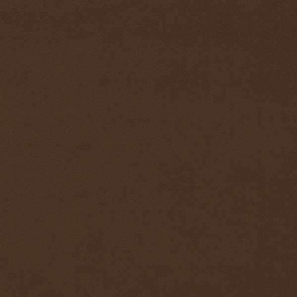 Cocoa