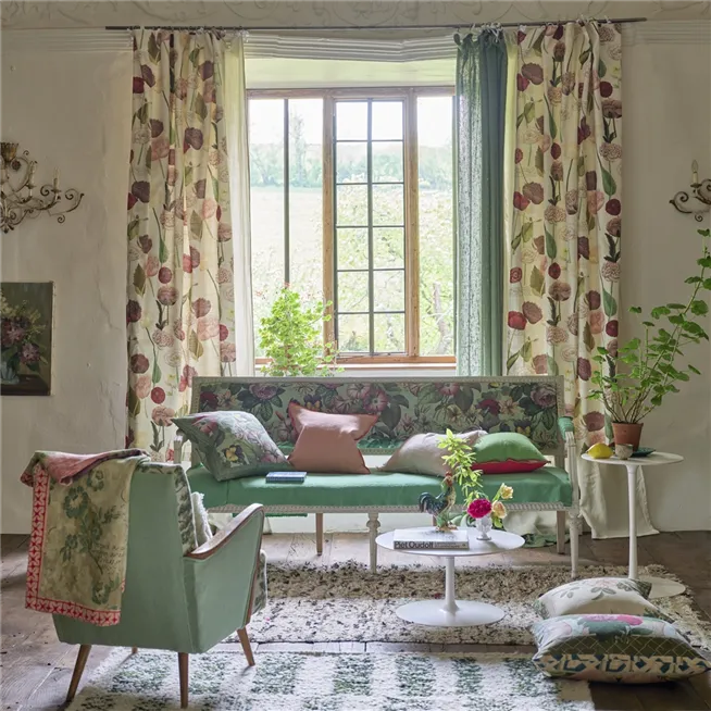 John Derian Poppy Study