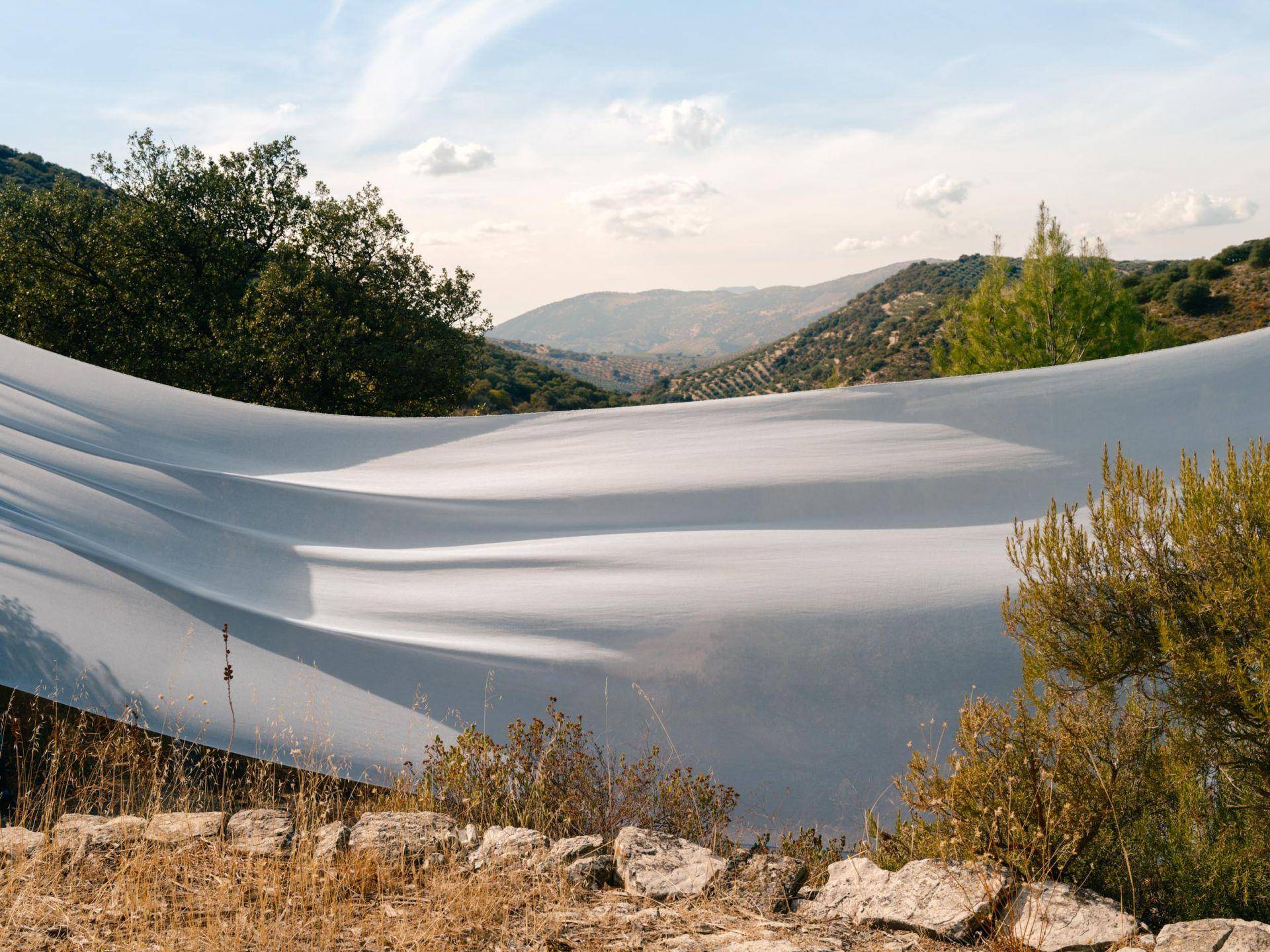 Etamine Pétale de lin