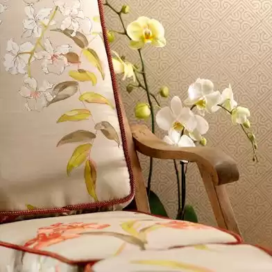 Nina Campbell Orchis