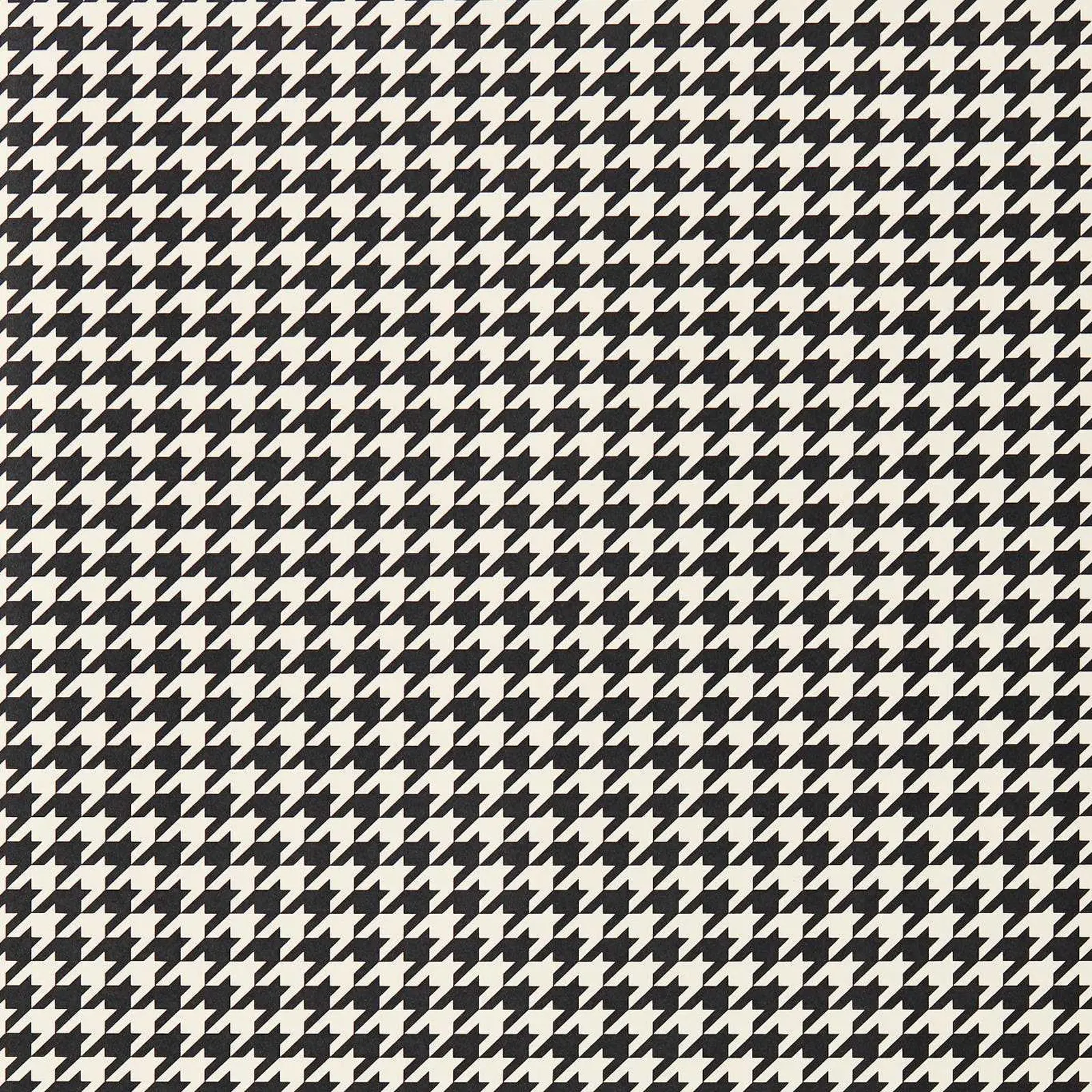 Black Earth/Soft Focus