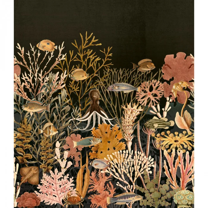 Noir de lune / multicouleurs