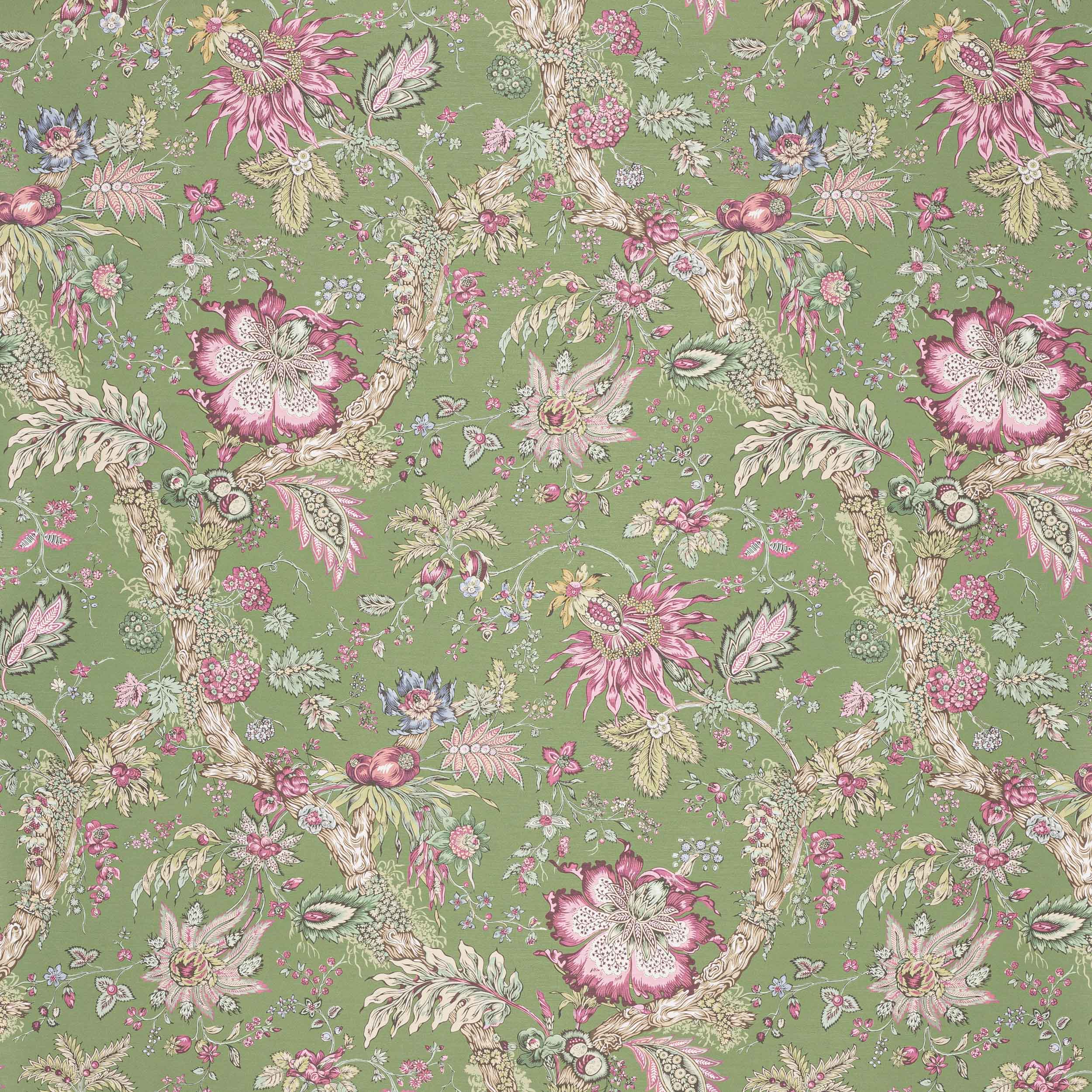 Manuel Canovas Adelaide Manuel Canovas Adelaide