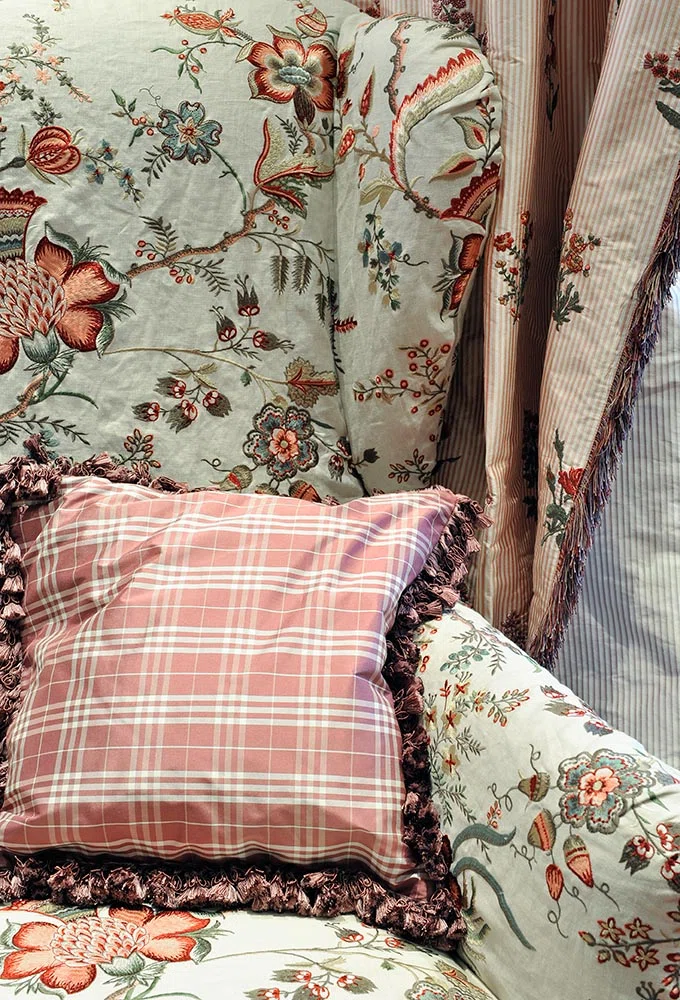 Braquenie Coromandel  