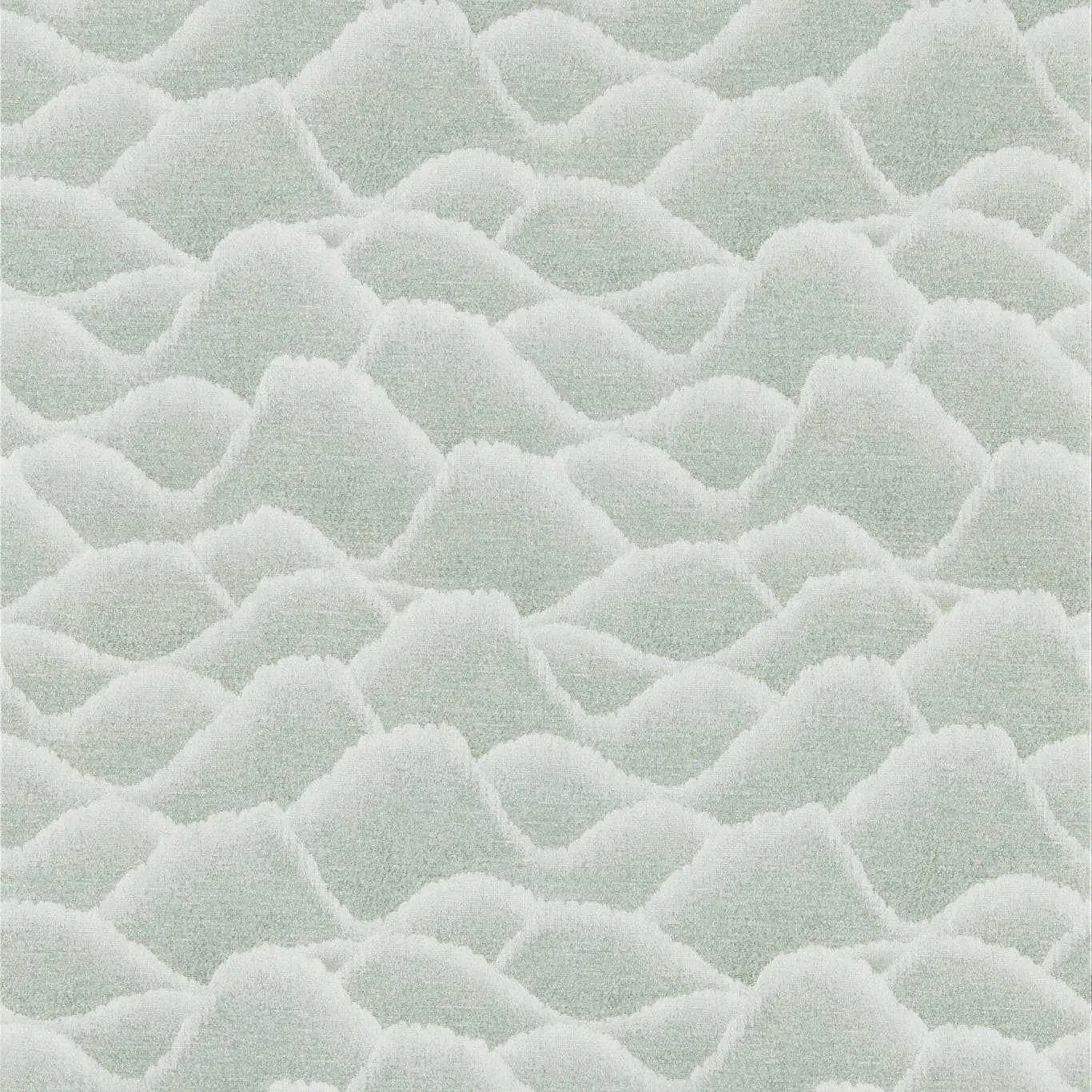 Aloe
