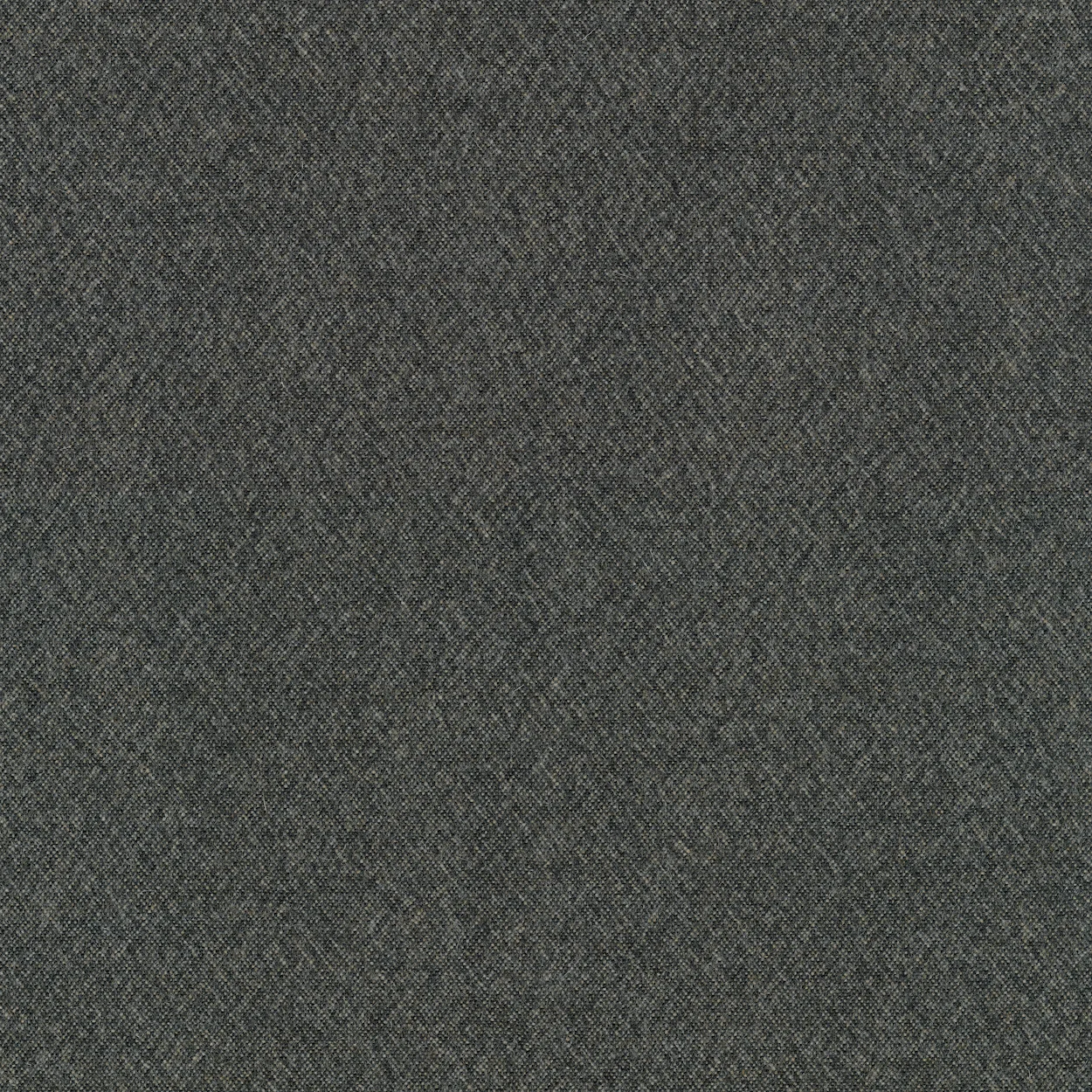 Fb. 0171