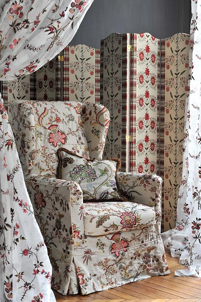 Braquenie Coromandel  