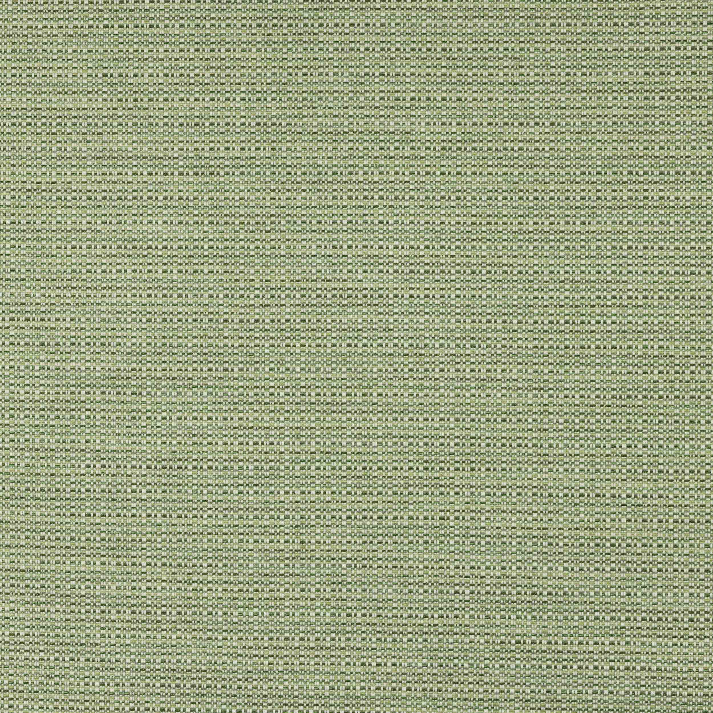 Prairie