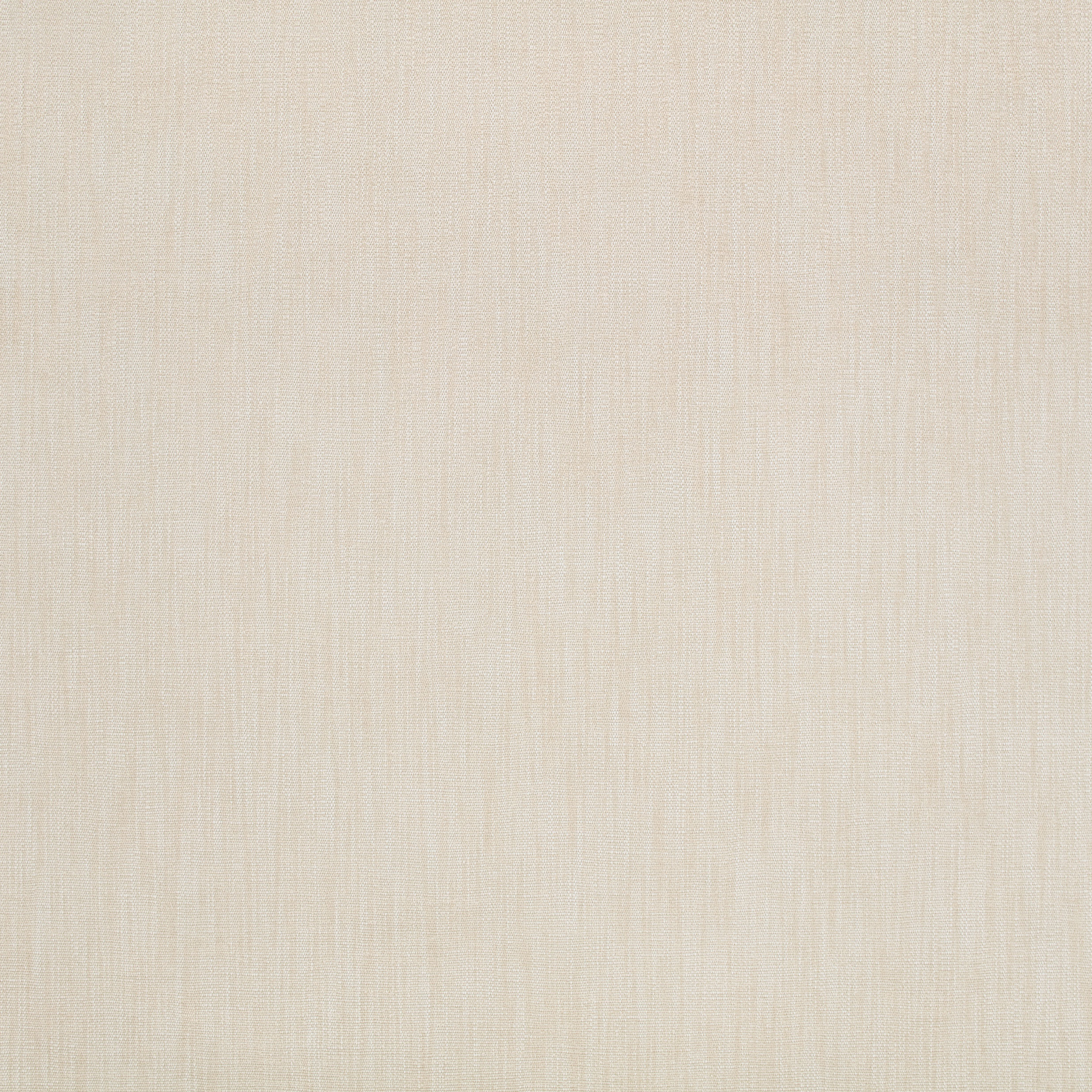 Plaster
