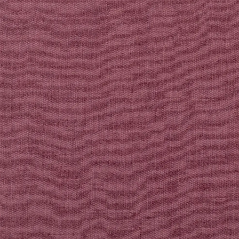 Loganberry