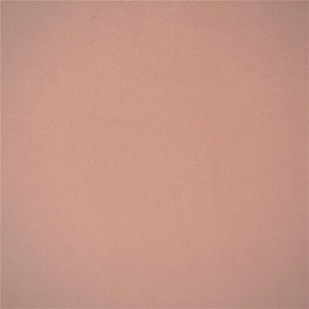 Pale Rose