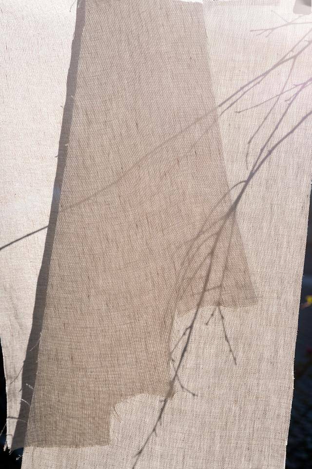 Dedar Wide Linen Colibri