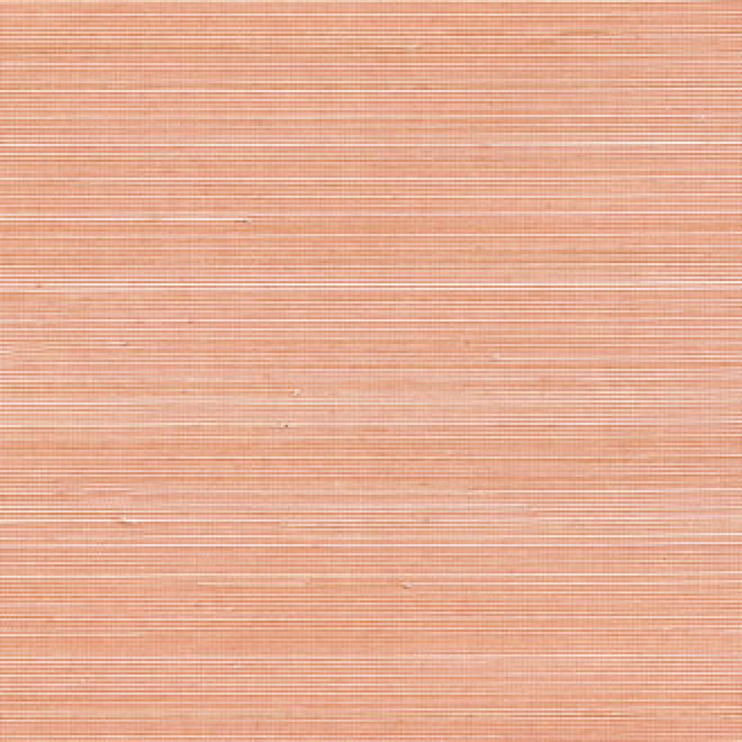 Au rythme de belles rencontres