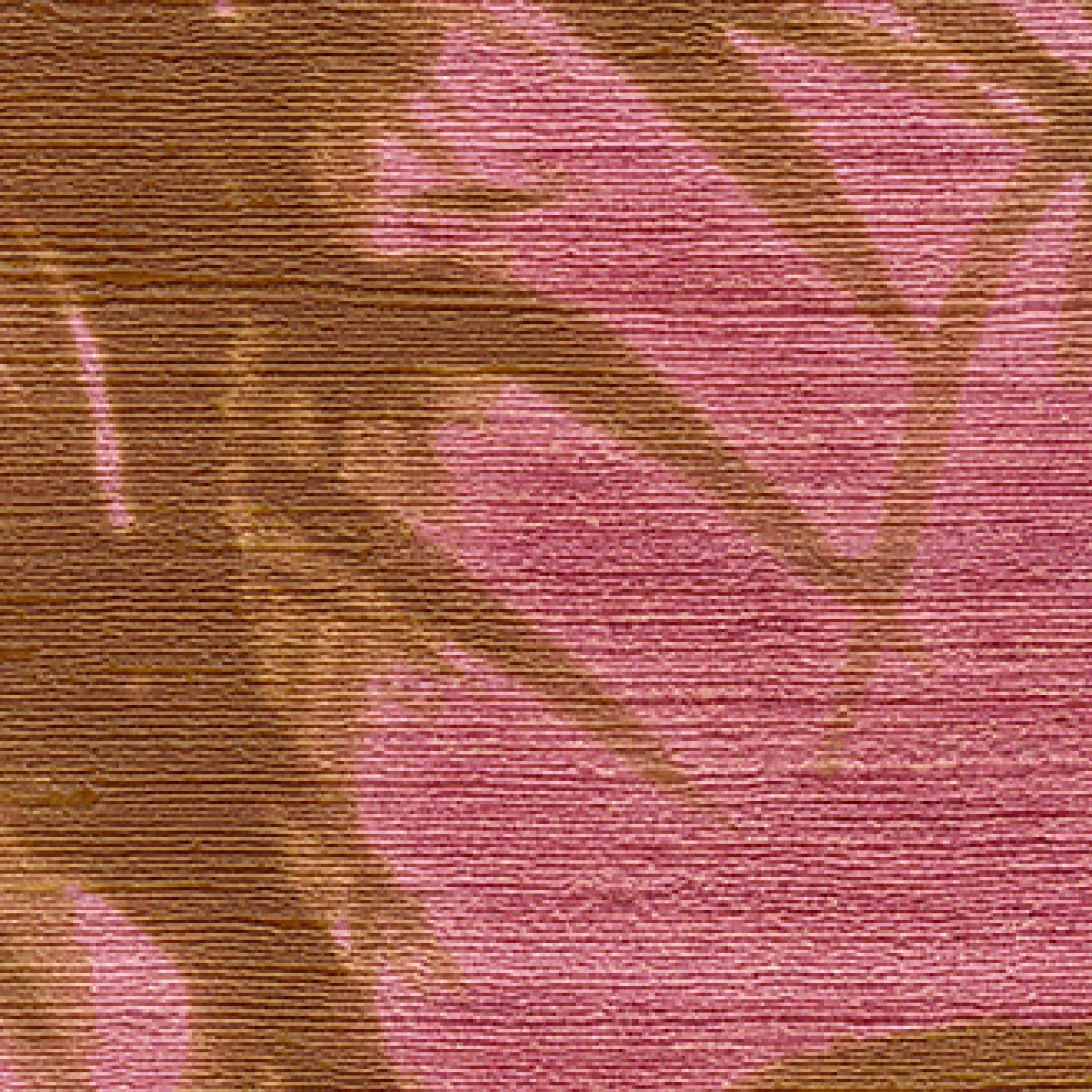 Promenons nous dans les bois