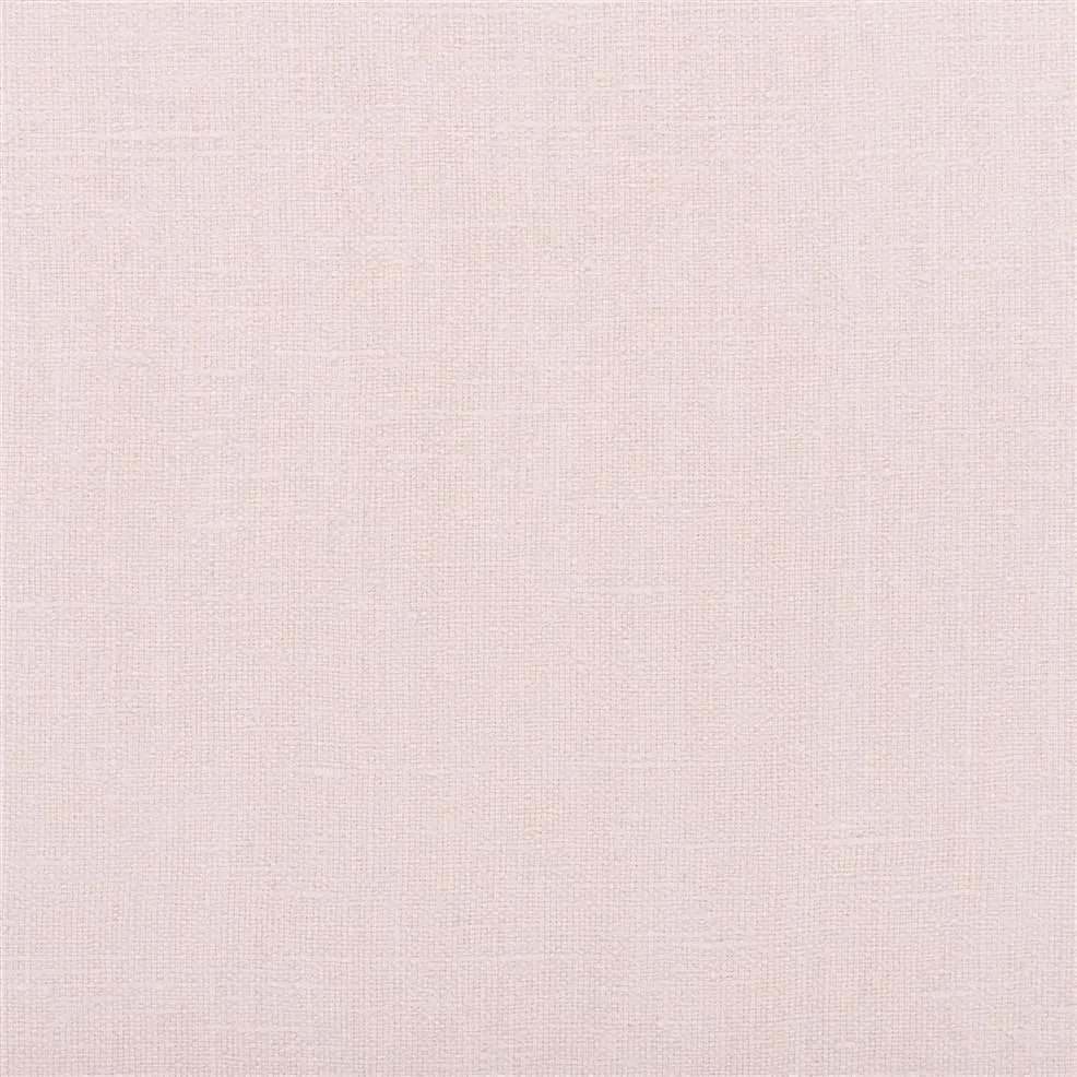 Pale Rose