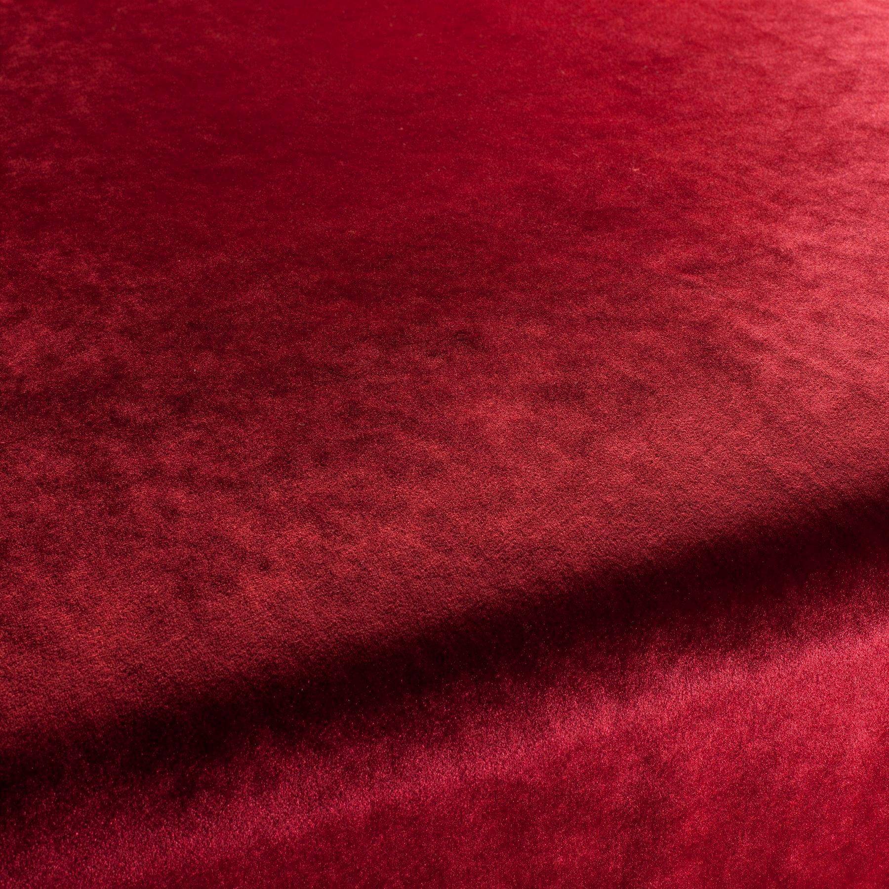 Carlucci Palazzo Velvet Reloaded