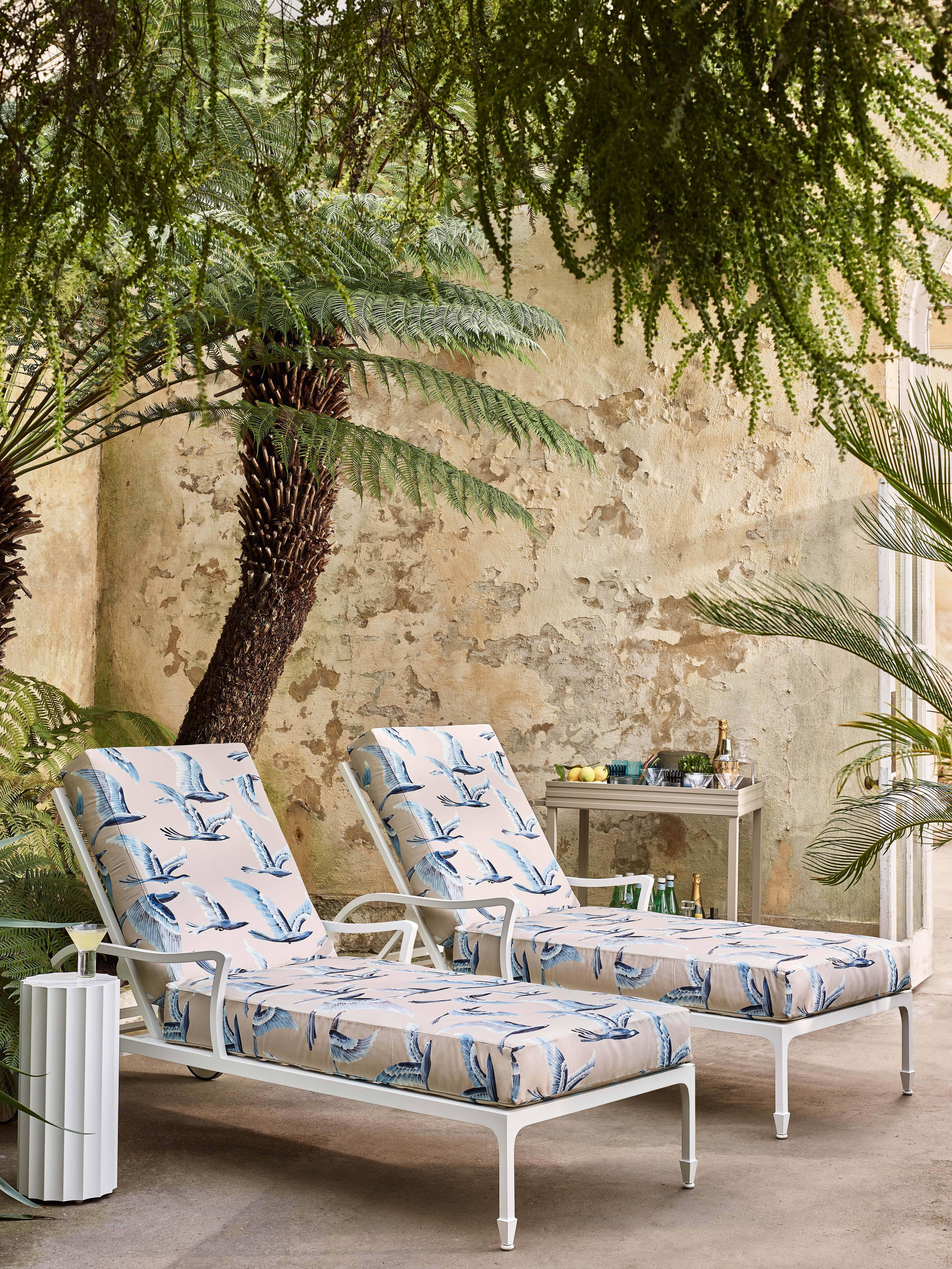 Manuel Canovas Hydra