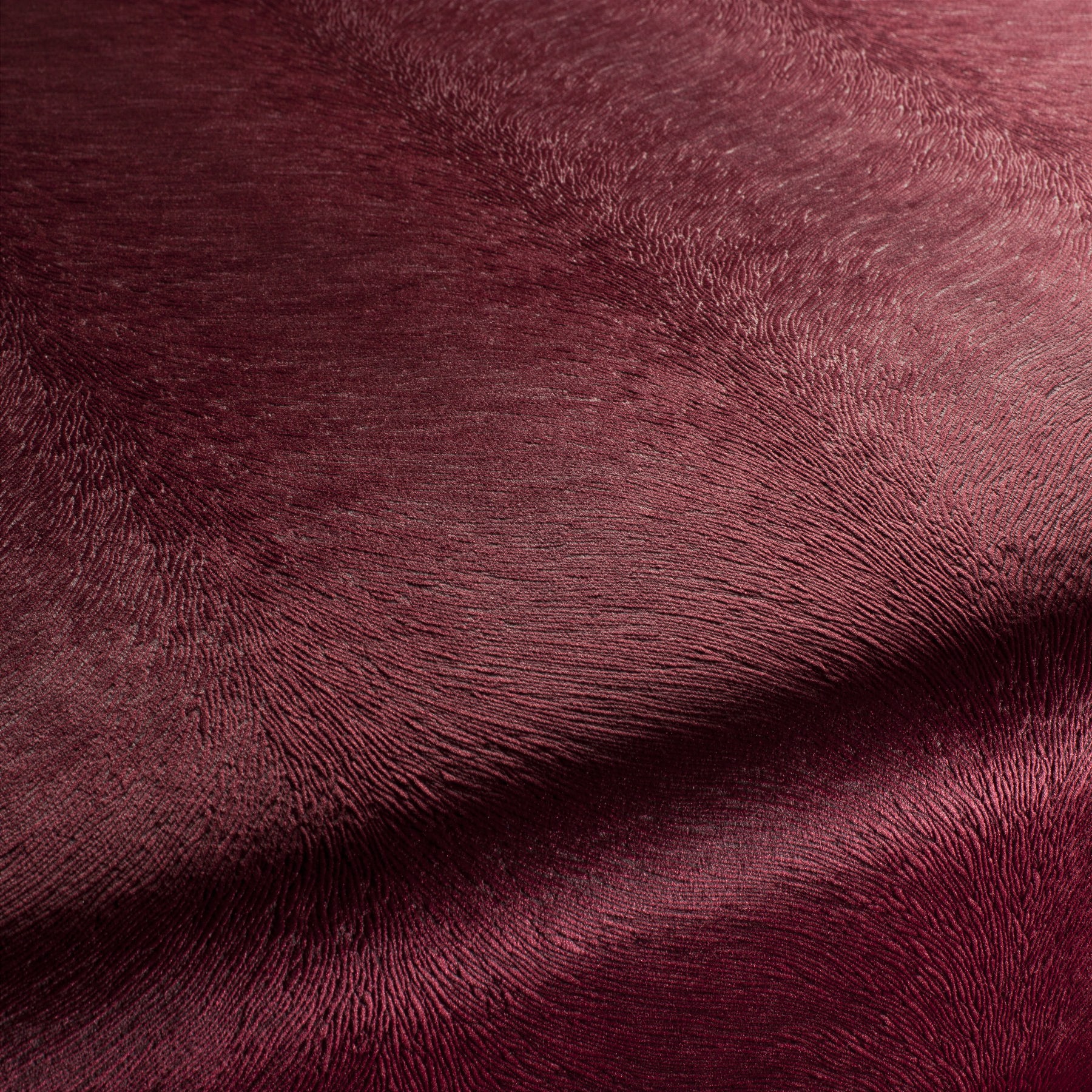 Carlucci Pistoia Velvet Reloaded 