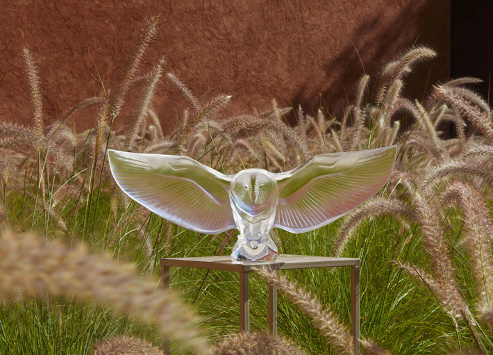 Lalique Bran Owl Sculpture
