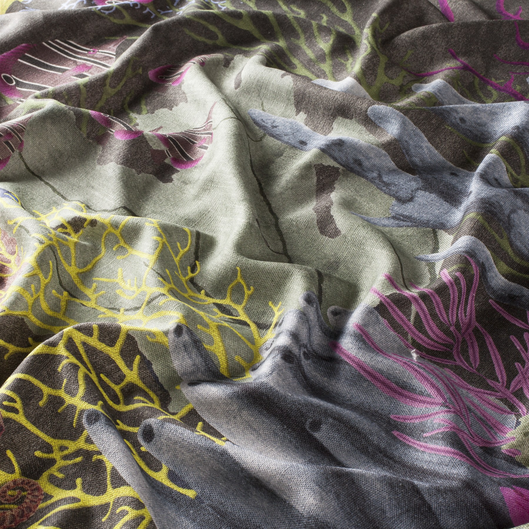 Chivasso Fabulous Reef