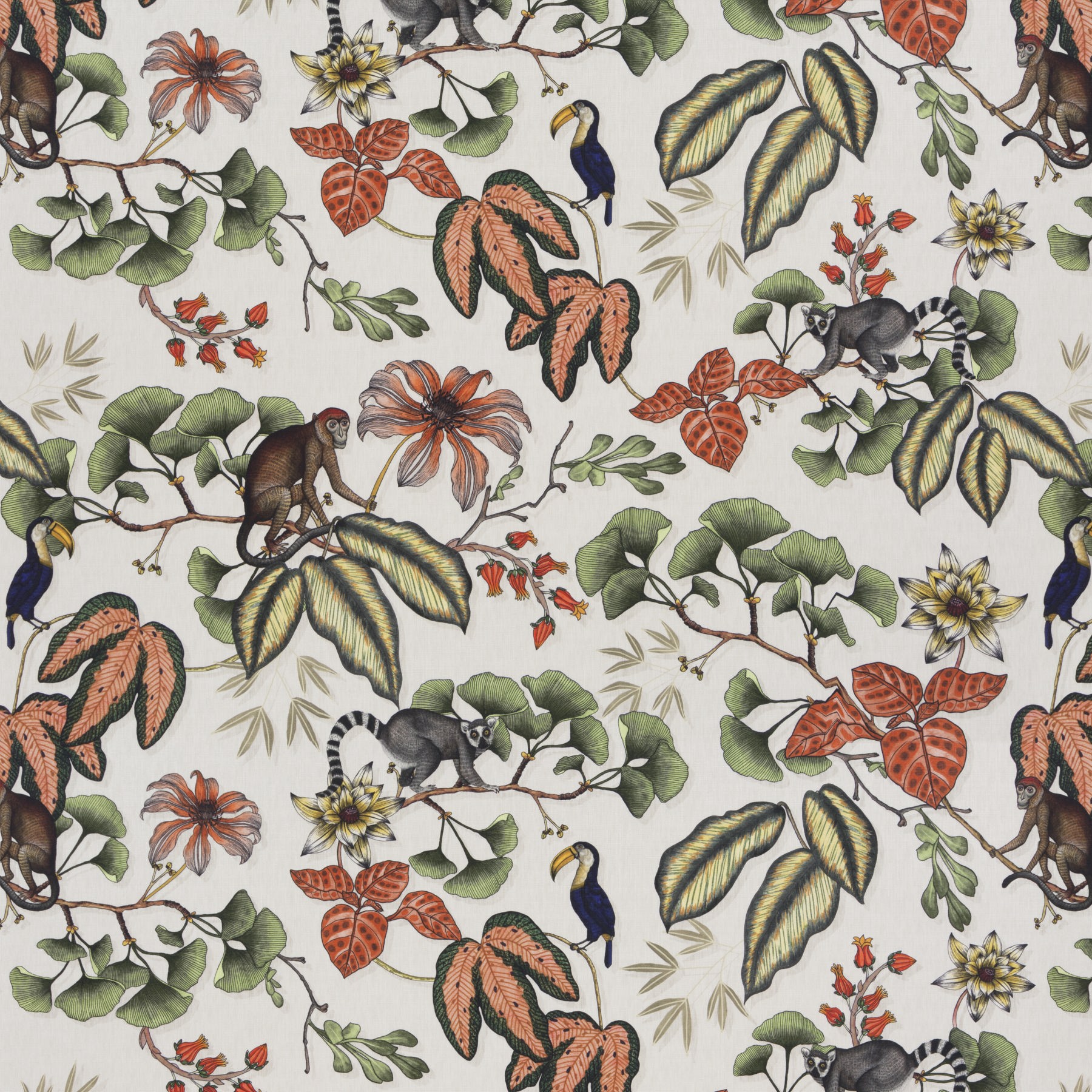 Chivasso Fantastic Madagascar