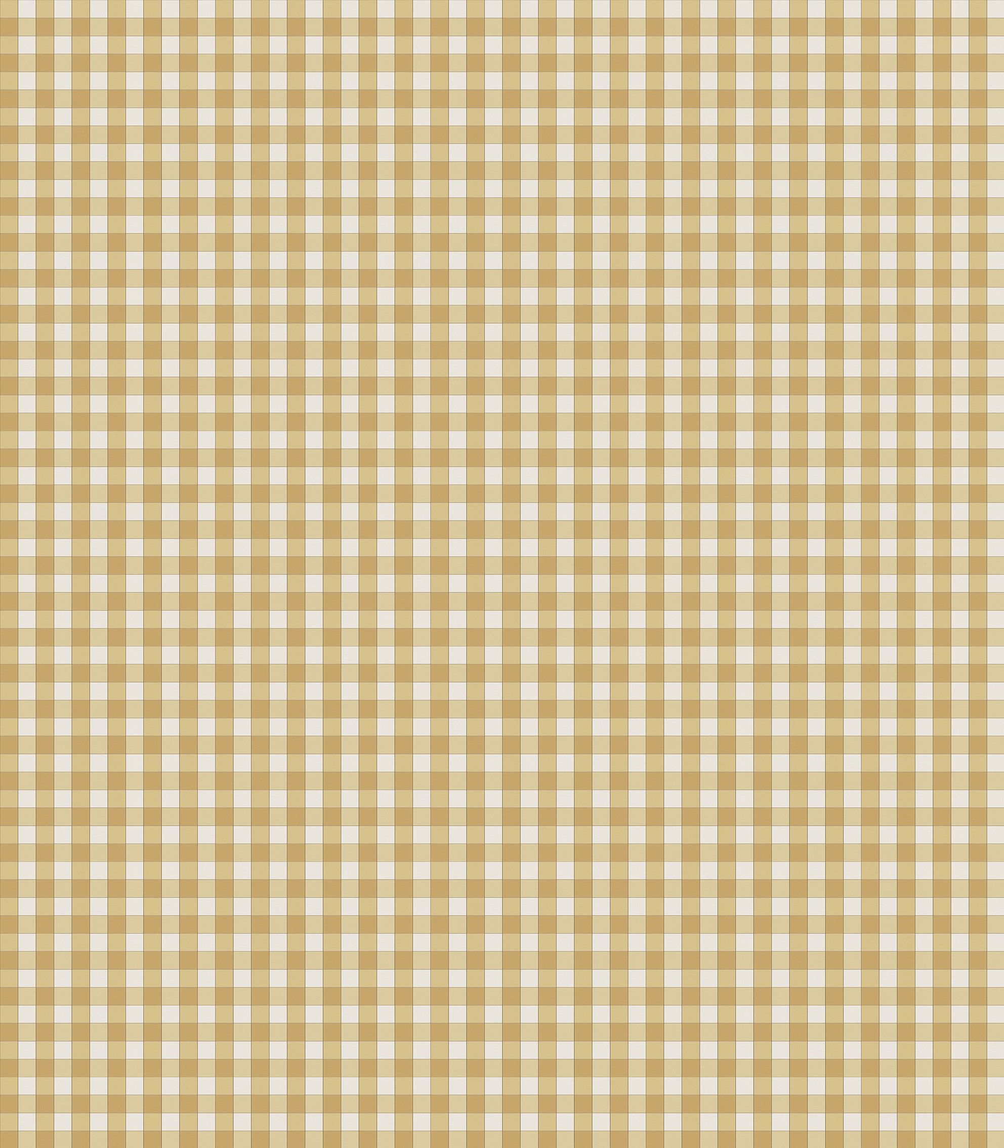 Nina Campbell Honfleur Check