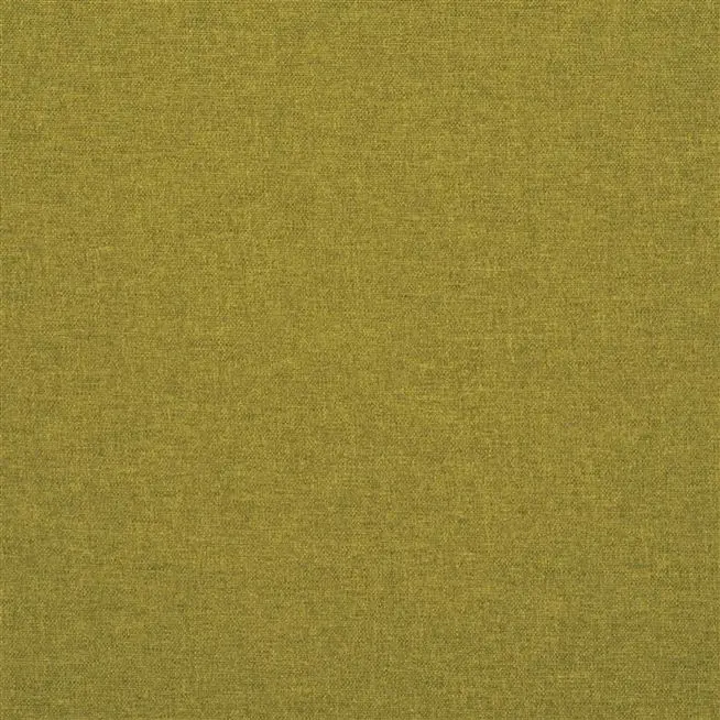Acacia