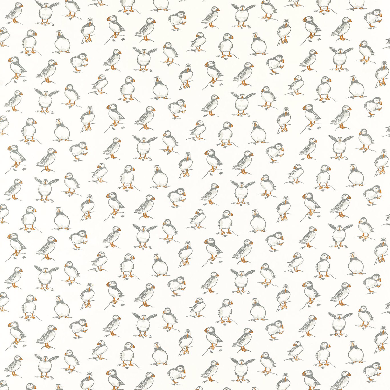 Clarke & Clarke Atlantic