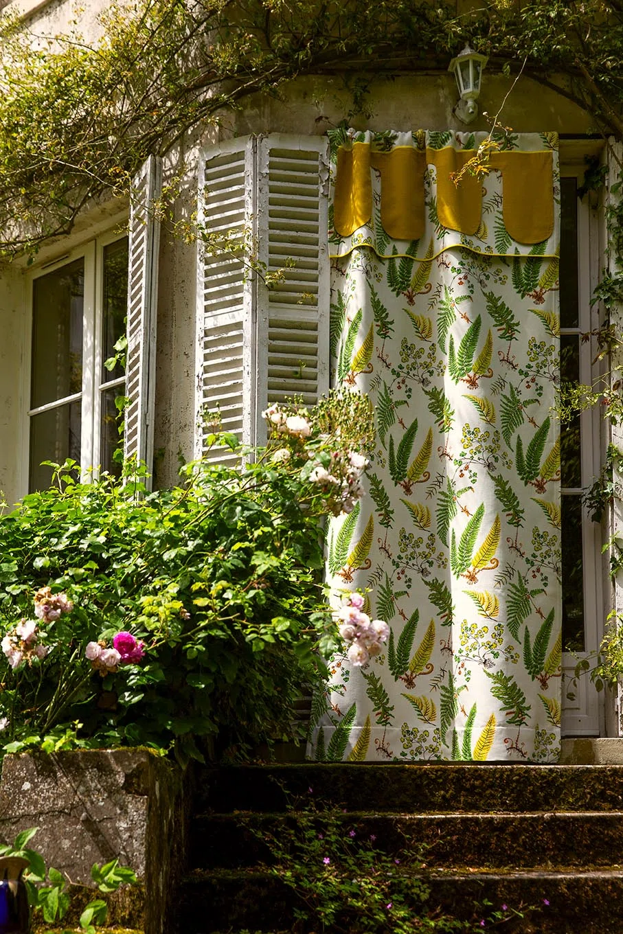 Pierre Frey Botanique