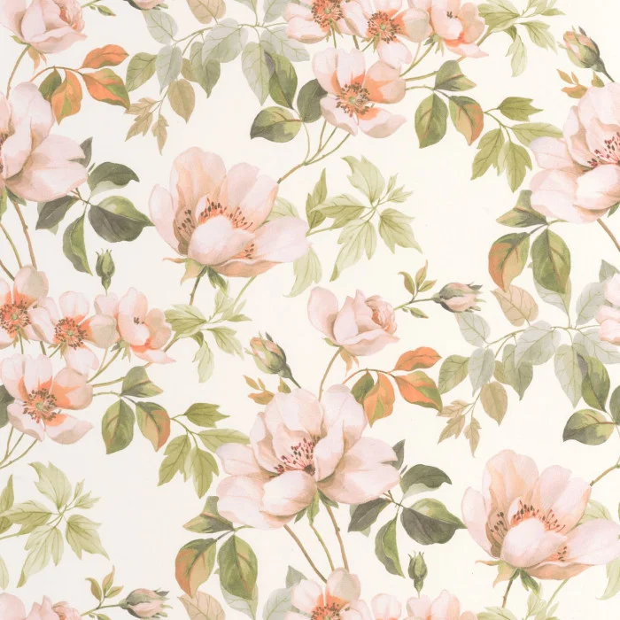Rose Blush