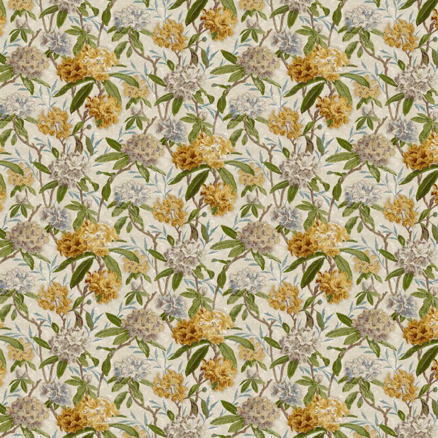 Primrose/Evergreen