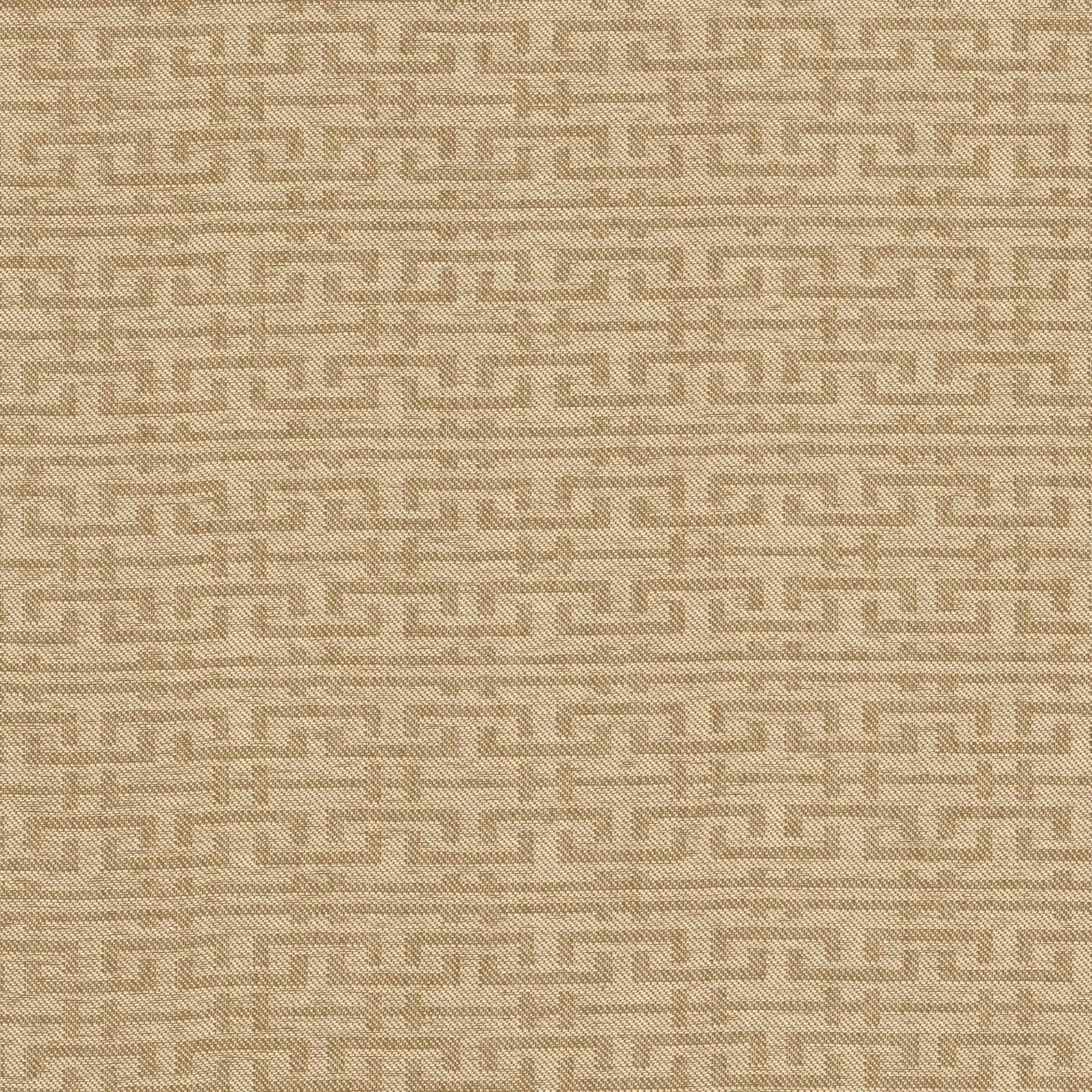 Paja