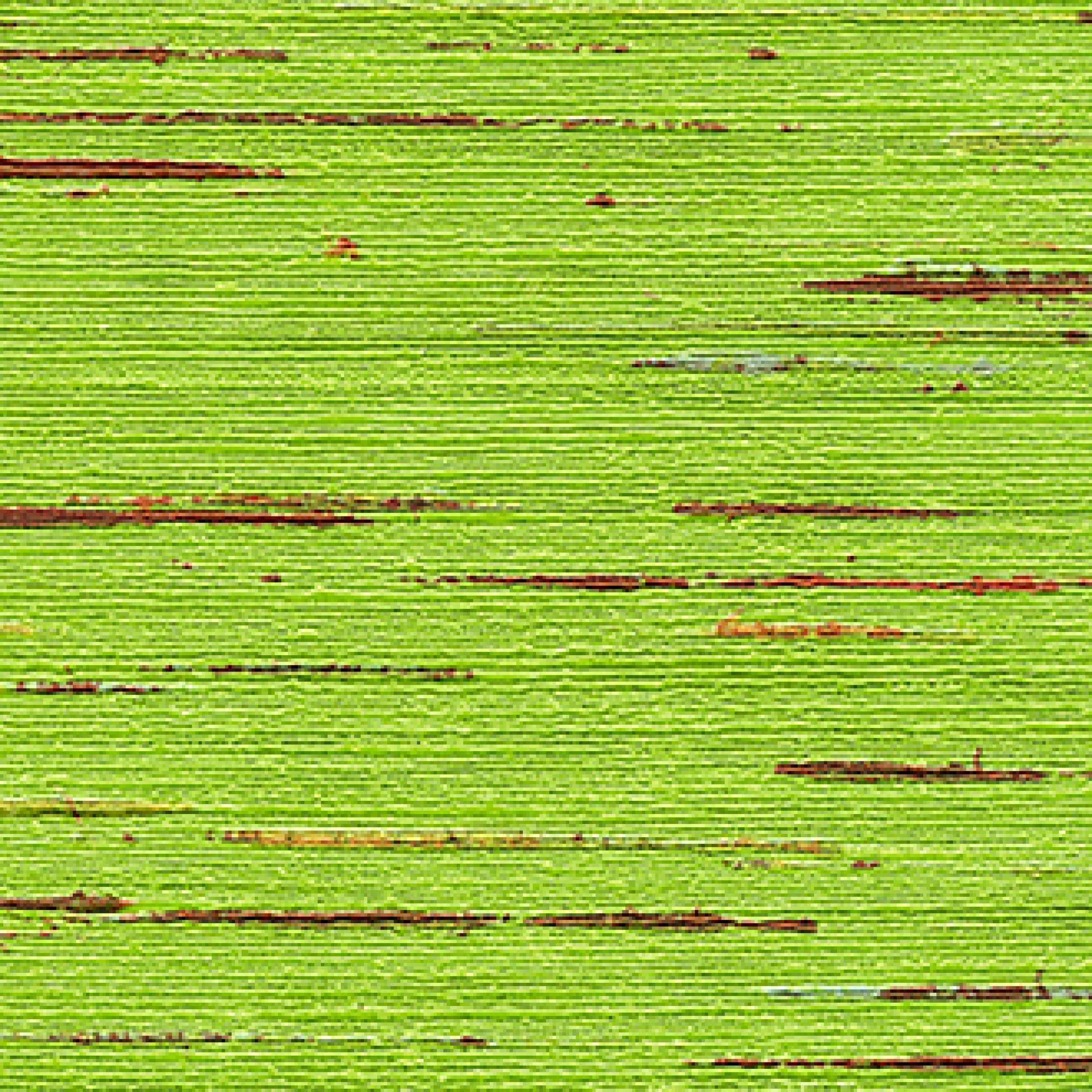 Les habits de l'Empereur