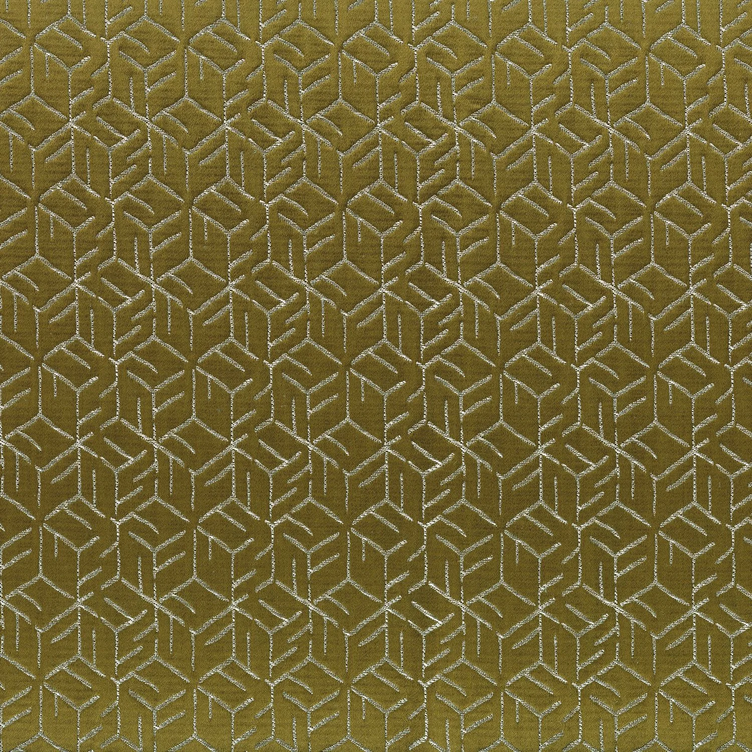Kaki